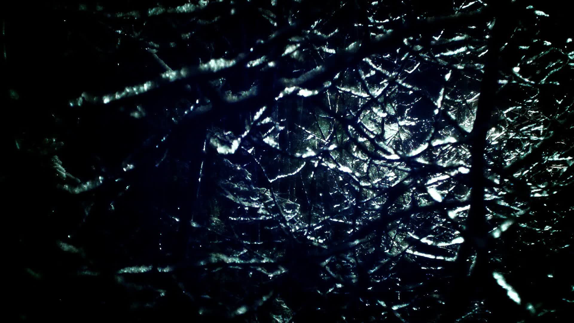 世界滑雪障碍赛选手表现稳定，滑雪障碍追逐国家队